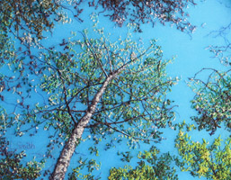 CentreOfAttention_200_6268