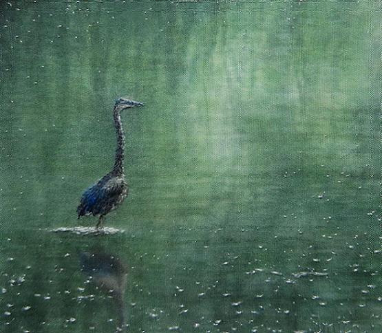 Reflective Moment - master