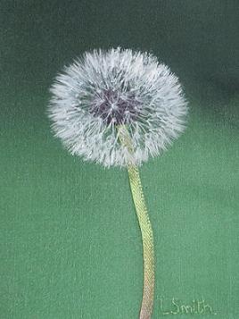 Tick-Tock medium size