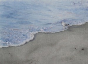 Vancouver Beach Walk